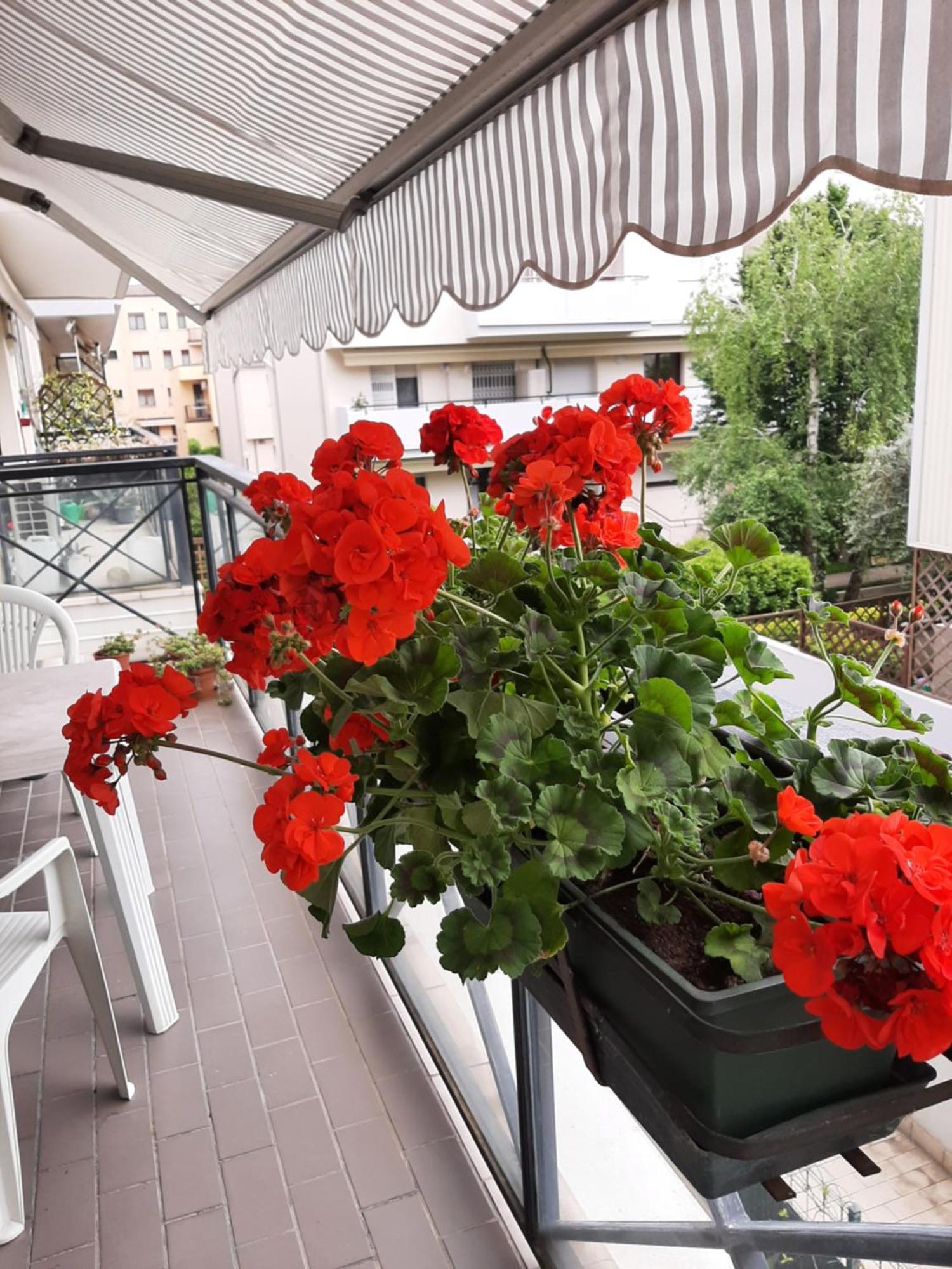 Apartamento Casa Di Iana Mestre